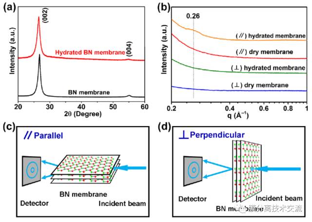 a)干態BN膜和完全水合BN膜的XRD圖案;b)垂直和平行、干態和完全水合BN膜的1維SAXS圖案;c)和d)分別是BN膜和SAXS分析的平行(c)和垂直(d)位置示意圖 a)干態BN膜和完全水合BN膜的XRD圖案;b)垂直和平行、干態和完全水合BN膜的1維SAXS圖案;c)和d)分別是BN膜和SAXS分析的平行(c)和垂直(d)位置示意圖