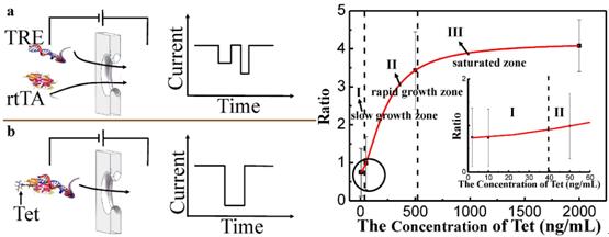 1496781580550694.jpg 2017-06-07-07.jpg