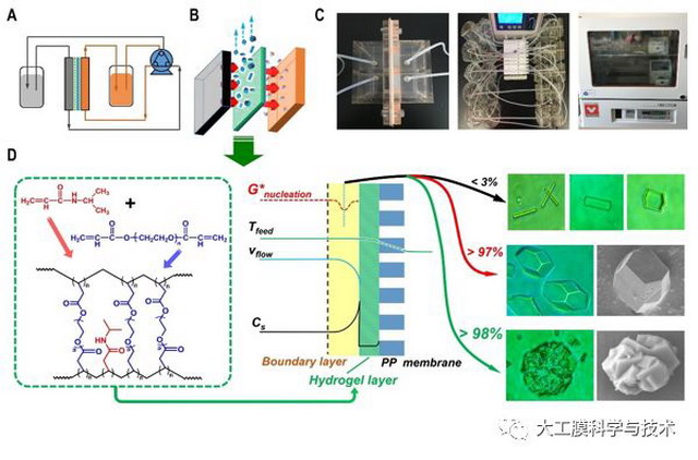 新型水凝胶膜连续、高选择性制备生物大分子晶体研究 新型水凝胶膜连续、高选择性制备生物大分子晶体研究