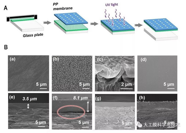 新型水凝胶膜连续、高选择性制备生物大分子晶体研究 新型水凝胶膜连续、高选择性制备生物大分子晶体研究