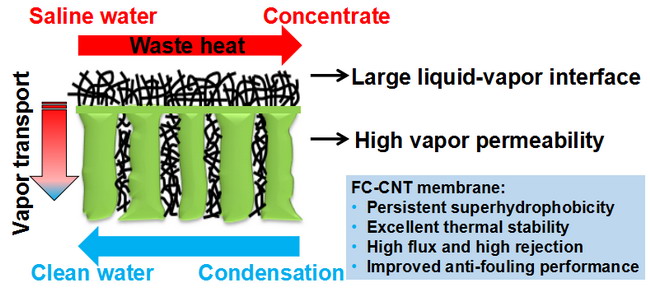 高性能陶瓷基复合膜设计制备及应用研究取得重要进展