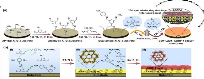 具有高选择性的双层COF－COF气体分离膜合成及其性能