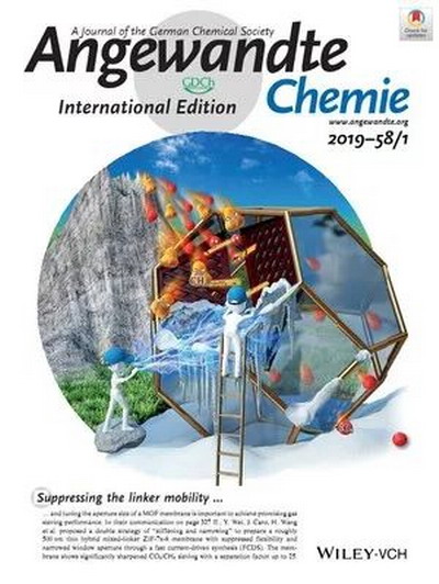 电驱动混合配体策略微调刚性ZIF-8膜孔径研究获新进展 电驱动混合配体策略微调刚性ZIF-8膜孔径研究获新进展