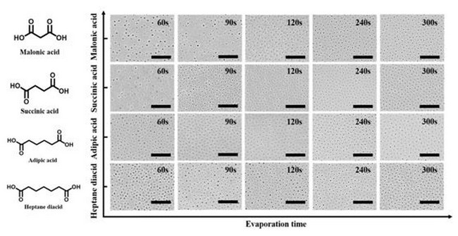 浙工大膜水中心研究团队均孔膜稳定制备方面取得进展