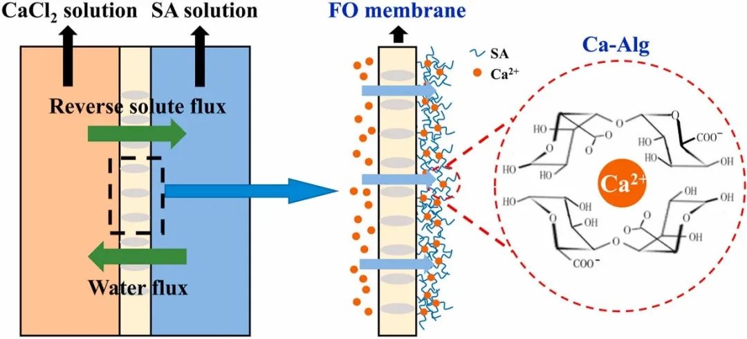 1655780354132252.jpg 29.jpg