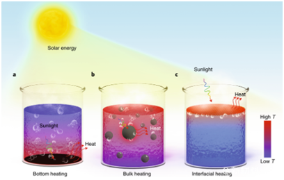 1718161918231481.png image.png